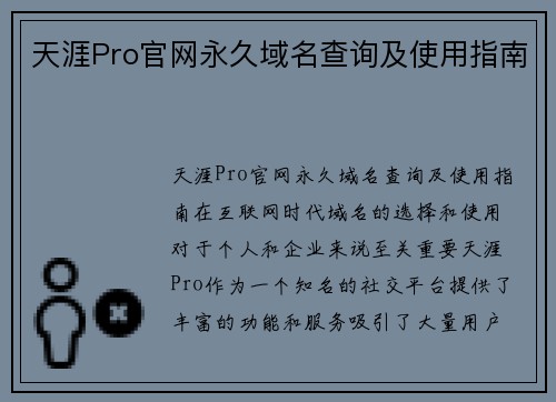 天涯Pro官网永久域名查询及使用指南
